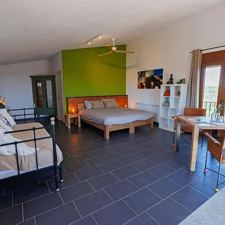 Mas Del Rey Boutique 4* Cálig
